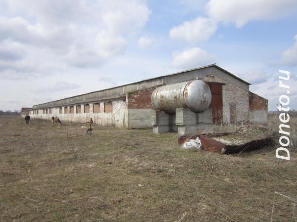 Два зерновых склада в г. Новоалександровске