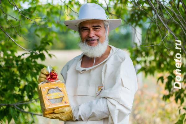 Мёд и продукты пчеловодства