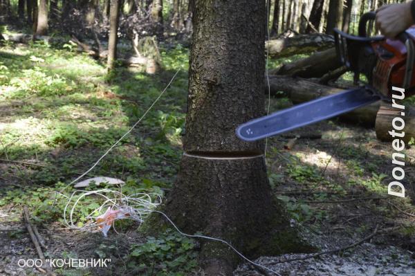 Удаление деревьев. Работаем в Москве и Московской области