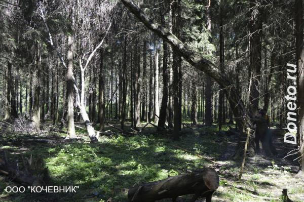 Удаление деревьев, вырубка деревьев по Москве и Московской области