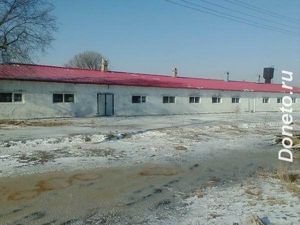 Продам действующую ферму Крупно-рогатого скота во Владивостоке